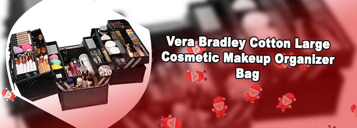 Large makeup case organizer